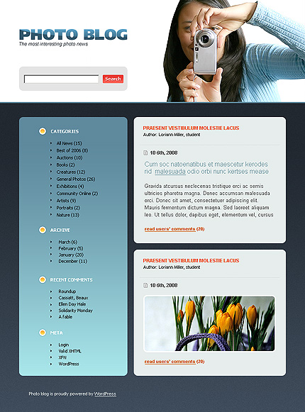 Website Template #19243