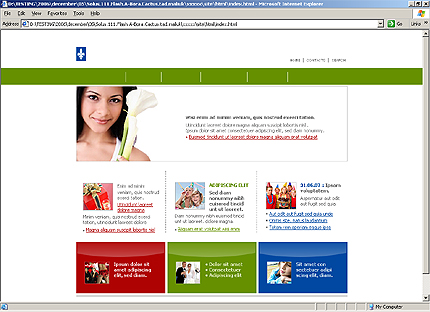 Website Template #19274