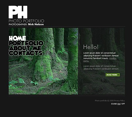 Website Template #19281