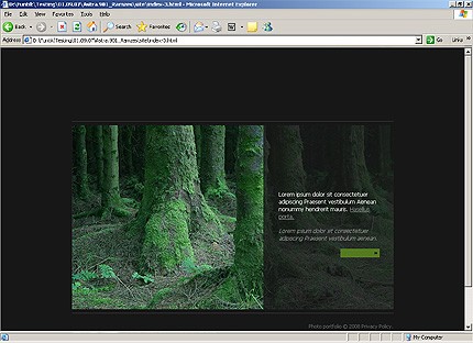 Website Template #19281