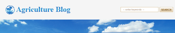Website Template #19291