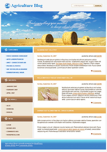 Website Template #19291