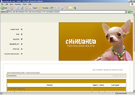 Website Template #19313
