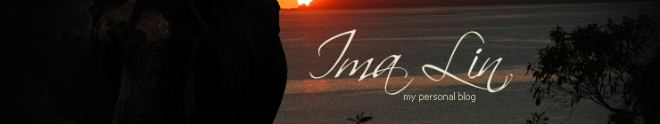 Website Template #19504