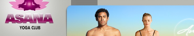 Website Template #19549