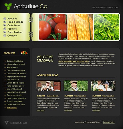 Website Template #19587
