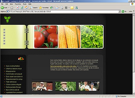 Website Template #19587