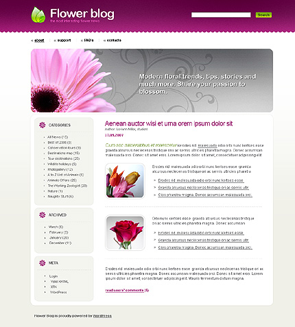 Website Template #19639