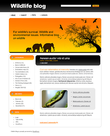 Website Template #19646