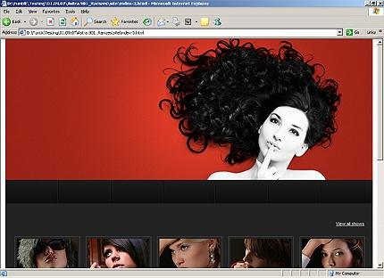 Website Template #19651