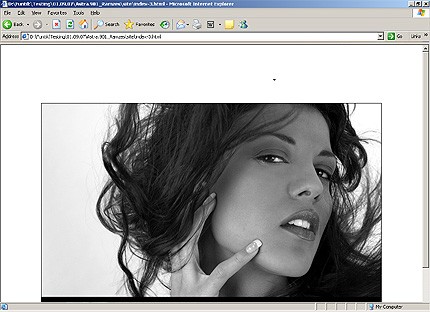 Website Template #19667