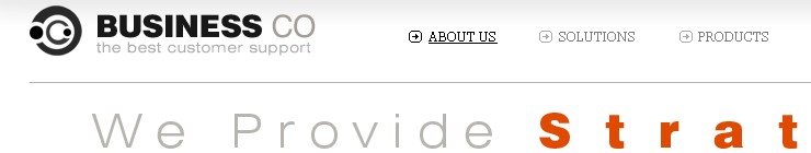 Website Template #19707
