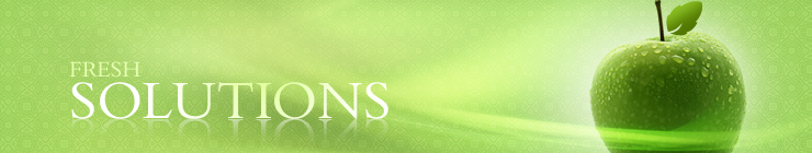 Website Template #19738