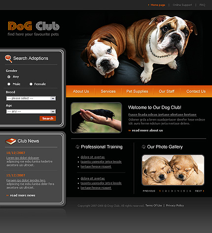 Website Template #19805