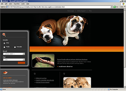 Website Template #19805