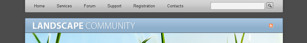 Website Template #19825