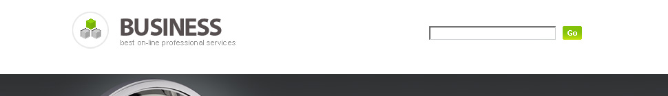 Website Template #19826