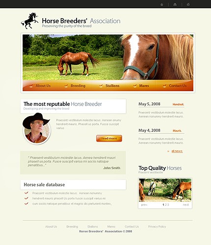 Website Template #19860