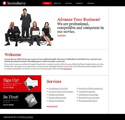 Website Template #19864