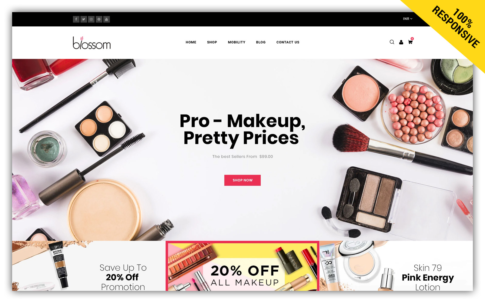 Shopify Themes