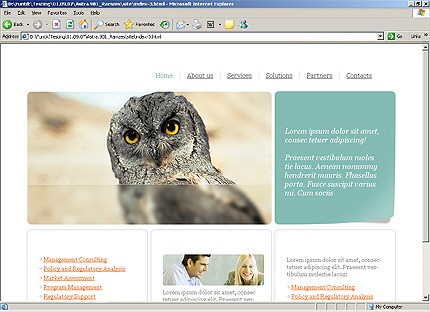Website Template #19930
