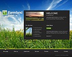 Website #19931