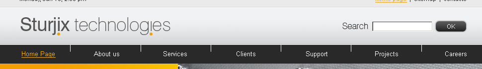 Website Template #19933