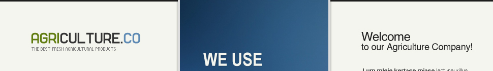 Website Template #19949