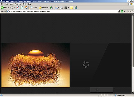 Website Template #19984