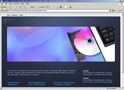 Website Template #19987