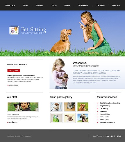 Website Template #19989