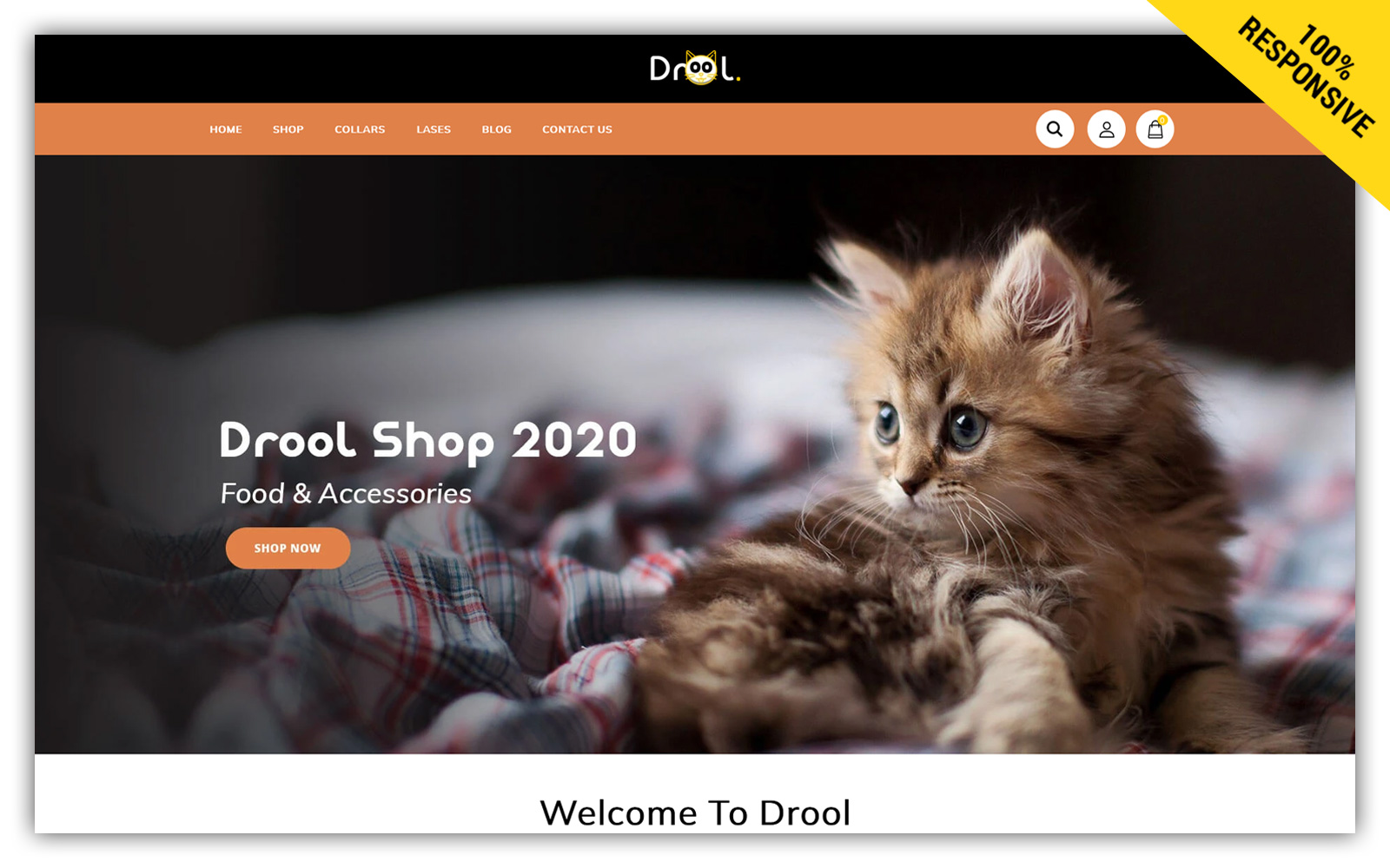 Shopify Themes
