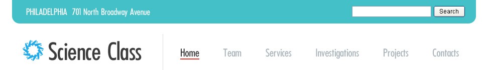 Website Template #20018