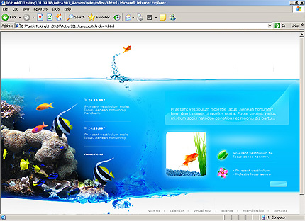Website Template #20050