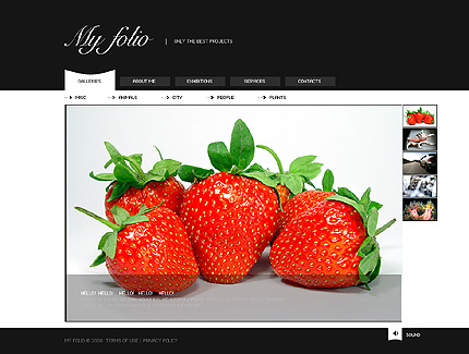 Website Template #20220
