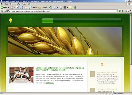 Website Template #20232
