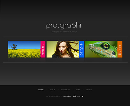 Website Template #20248