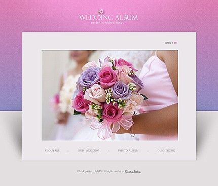 Website Template #20281