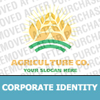 Corporate Identity #20291