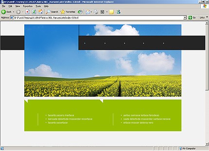Website Template #20302