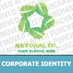 Corporate Identity #20460