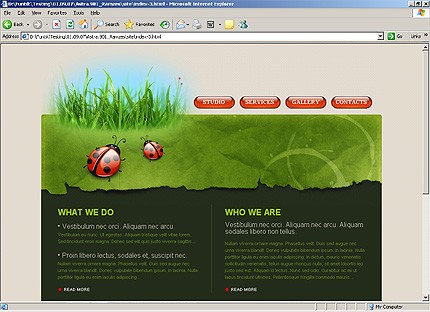 Website Template #20524