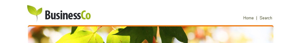 Website Template #20557
