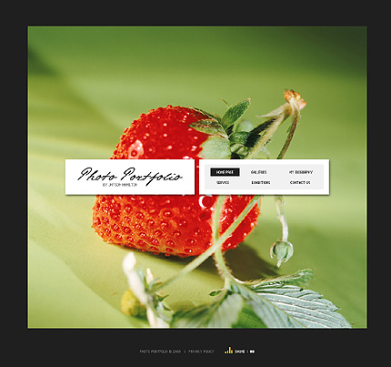 Website Template #20561