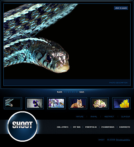 Website Template #20629