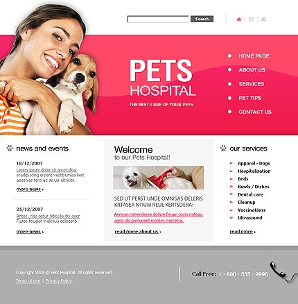 Website Template #20656