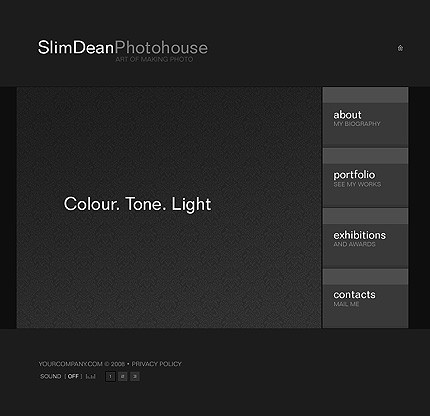 Website Template #20699