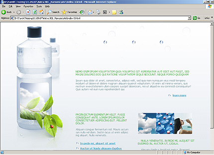 Website Template #20726