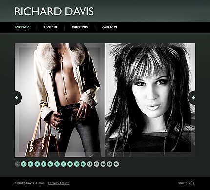 Website Template #20784