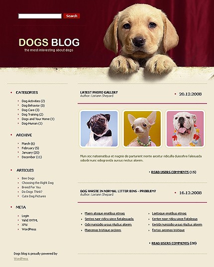 Website Template #20790